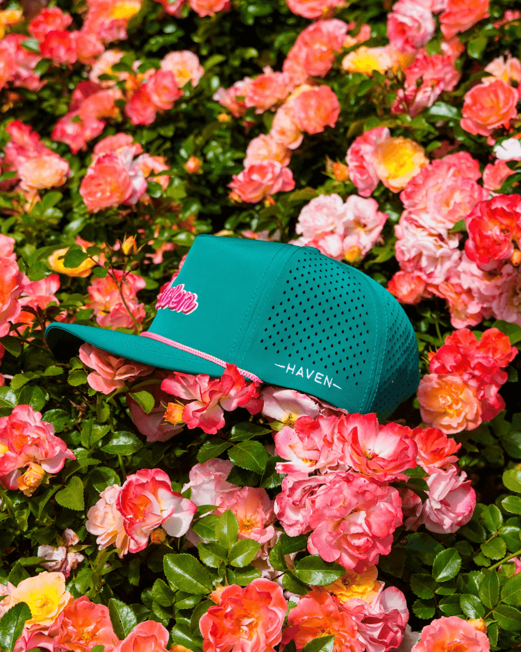 The Azalea alternate product view 2